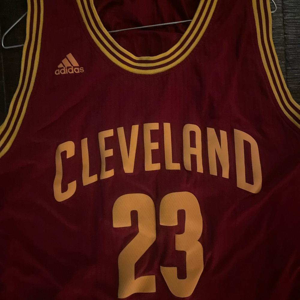 Lebron james swimgman Adidas Cleveland Basketball Jersey - wine and gold